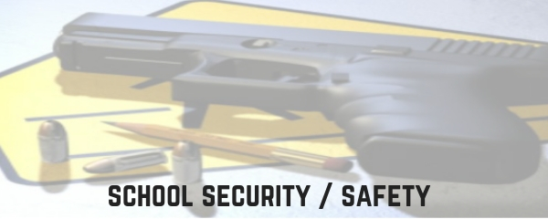 school security safety