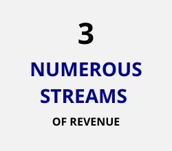 numerous streams of revenue