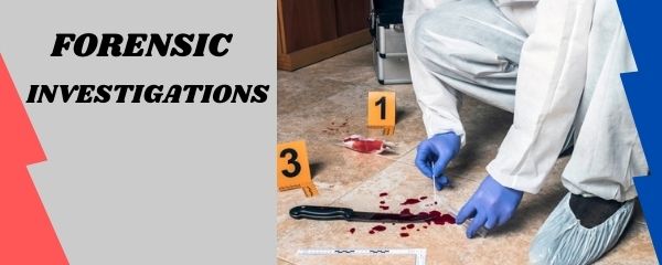 Forensic Investigations